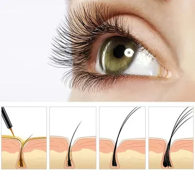 Eyelashes Rapid Growth Essence