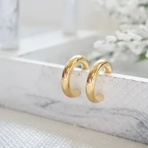 Gold Hoop Earrings