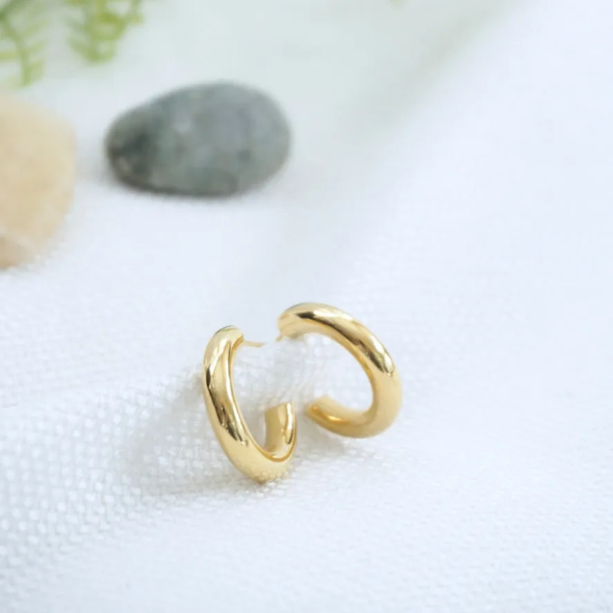 Gold Hoop Earrings
