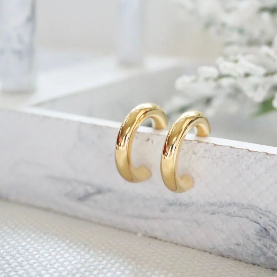 Gold Hoop Earrings