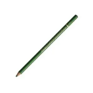 Holbein Colored Pencils Individual Holly Green